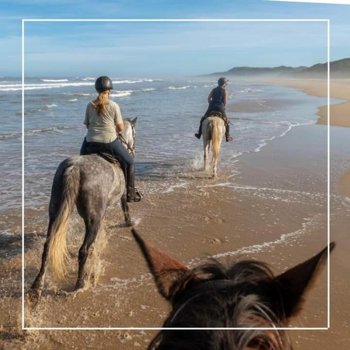 Agriturismo I Grappoli Alberese Eksteriør bilde