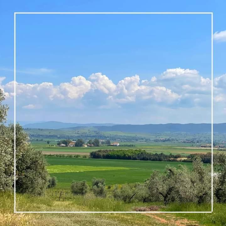 Agriturismo I Grappoli Alberese Eksteriør bilde